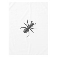 Ant