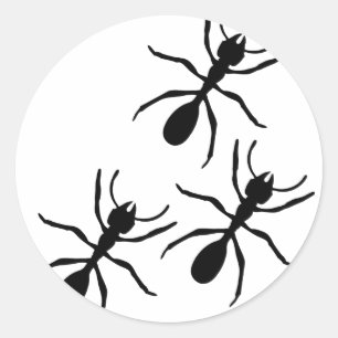 ant trail classic round sticker