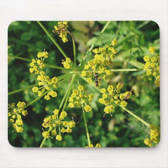 Ant, Web, and Yellow Mustard Flower  Mouse Pad (Front)