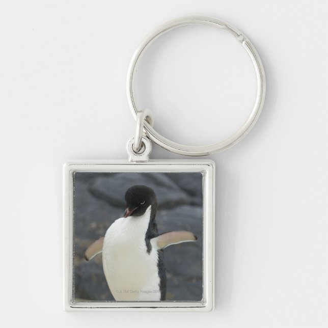 Antarctic Key Ring (Front)