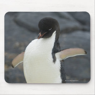 Antarctic Mouse Pad