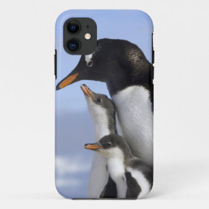 Antarctic Peninsula, Neko Harbour, Gentoo Case-Mate iPhone Case