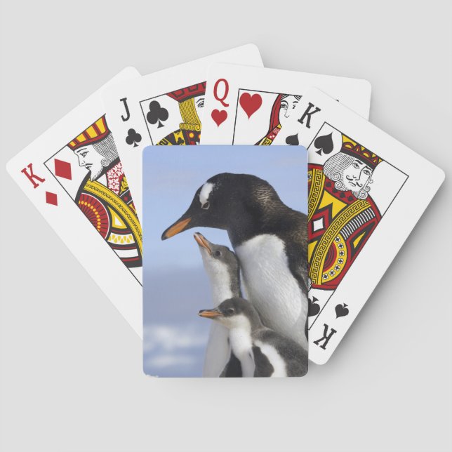 Antarctic Peninsula, Neko Harbour, Gentoo Playing Cards (Back)