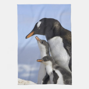 Antarctic Peninsula, Neko Harbour, Gentoo Tea Towel