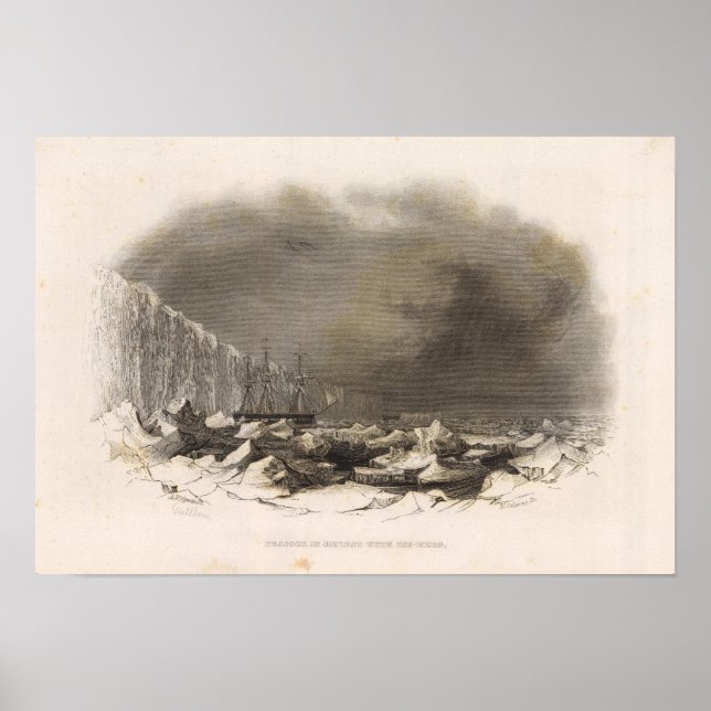 Antarctica 4 poster (Front)