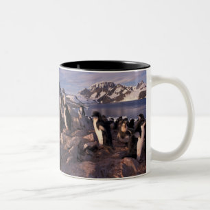 Antarctica, Adelie penguin chicks Two-Tone Coffee Mug