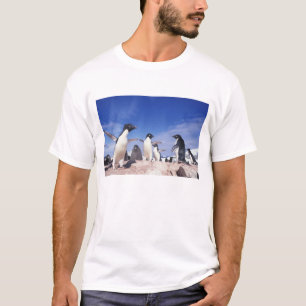Antarctica, Adelie Penguin Pygoscelis T-Shirt