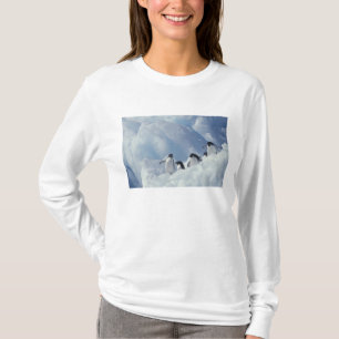 Antarctica. Adelie penguins T-Shirt