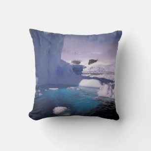Antarctica. Antarctic icescapes 2 Cushion