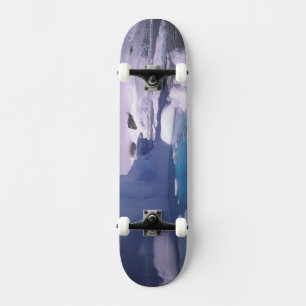 Antarctica. Antarctic icescapes 2 Skateboard