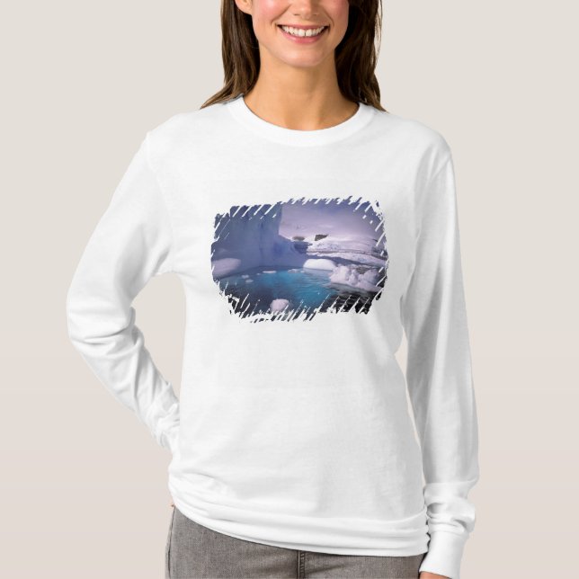 Antarctica. Antarctic icescapes 2 T-Shirt (Front)