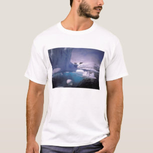 Antarctica. Antarctic icescapes 2 T-Shirt