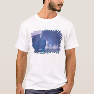Antarctica. Antarctic icescapes 3 T-Shirt