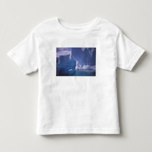 Antarctica. Antarctic icescapes 3 Toddler T-Shirt