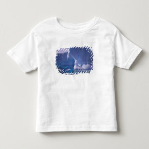 Antarctica. Antarctic icescapes 3 Toddler T-Shirt