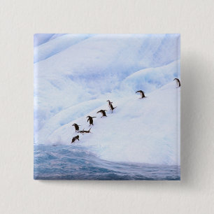 Antarctica, Antarctic Peninsula. Chinstrap 15 Cm Square Badge