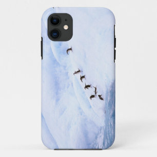 Antarctica, Antarctic Peninsula. Chinstrap Case-Mate iPhone Case