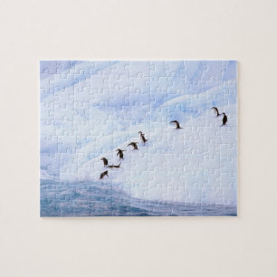 Antarctica, Antarctic Peninsula. Chinstrap Jigsaw Puzzle