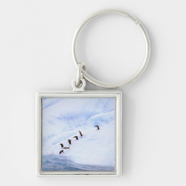 Antarctica, Antarctic Peninsula. Chinstrap Key Ring (Front)