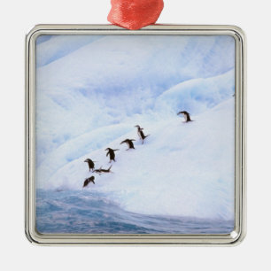 Antarctica, Antarctic Peninsula. Chinstrap Metal Tree Decoration