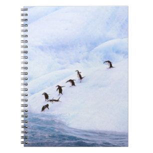Antarctica, Antarctic Peninsula. Chinstrap Spiral Notebook