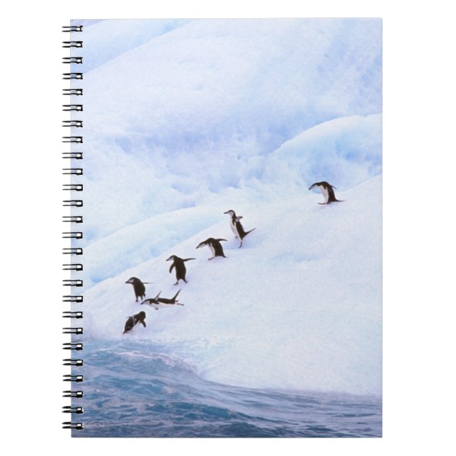 Antarctica, Antarctic Peninsula. Chinstrap Spiral Notebook (Front)