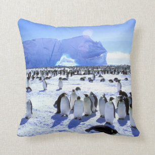 Antarctica, Antarctic Peninsula, Weddell Sea 5 Cushion
