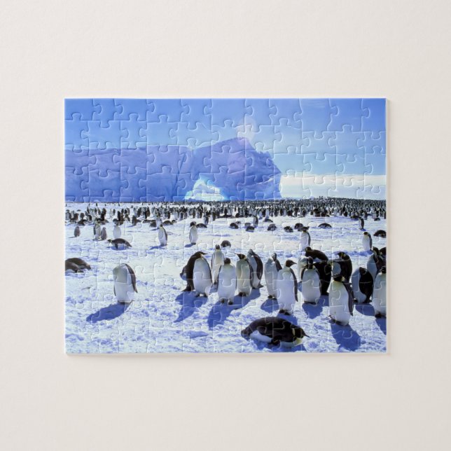 Antarctica, Antarctic Peninsula, Weddell Sea, 5 Jigsaw Puzzle (Horizontal)