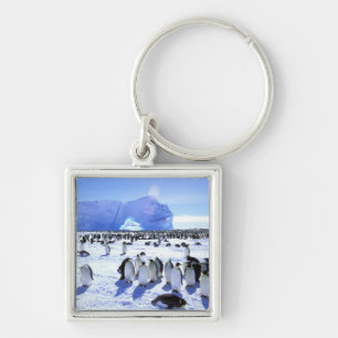 Antarctica, Antarctic Peninsula, Weddell Sea, 5 Key Ring