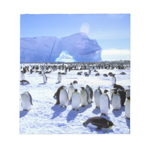 Antarctica, Antarctic Peninsula, Weddell Sea, 5 Notepad