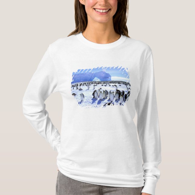 Antarctica, Antarctic Peninsula, Weddell Sea, 5 T-Shirt (Front)