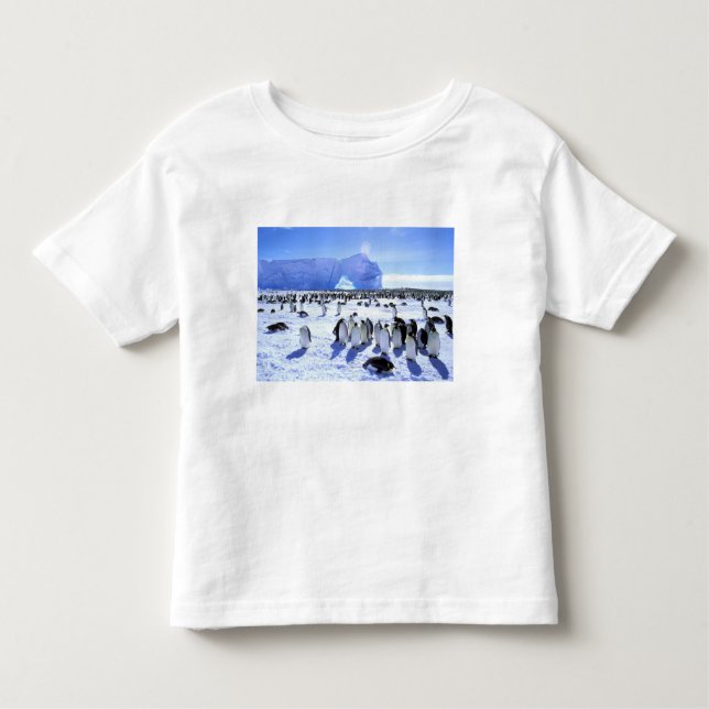 Antarctica, Antarctic Peninsula, Weddell Sea, 5 Toddler T-Shirt (Front)