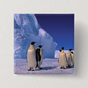 Antarctica, Australian Antarctic Territory, 7 15 Cm Square Badge