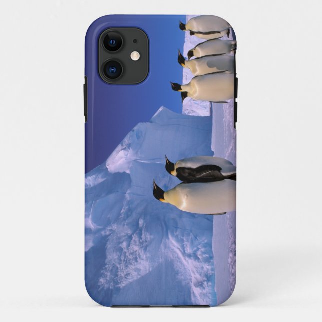 Antarctica, Australian Antarctic Territory, 7 Case-Mate iPhone Case (Back)
