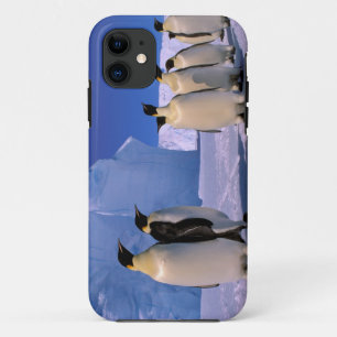 Antarctica, Australian Antarctic Territory, 7 iPhone 11 Case