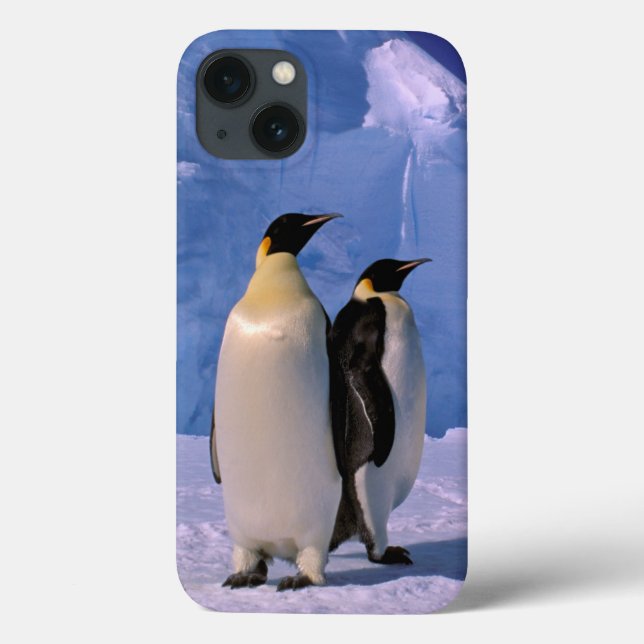 Antarctica, Australian Antarctic Territory, 7 Case-Mate iPhone Case (Back)
