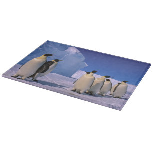 Antarctica, Australian Antarctic Territory, 7 Cutting Board