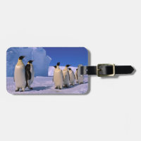 Antarctica, Australian Antarctic Territory, 7