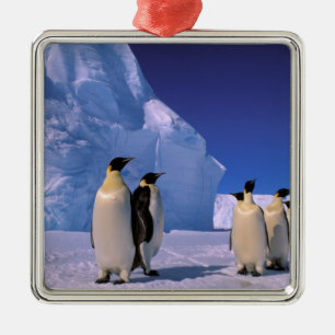 Antarctica, Australian Antarctic Territory, 7 Metal Tree Decoration