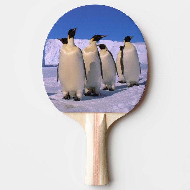 Antarctica, Australian Antarctic Territory, 7 Ping Pong Paddle (Front)