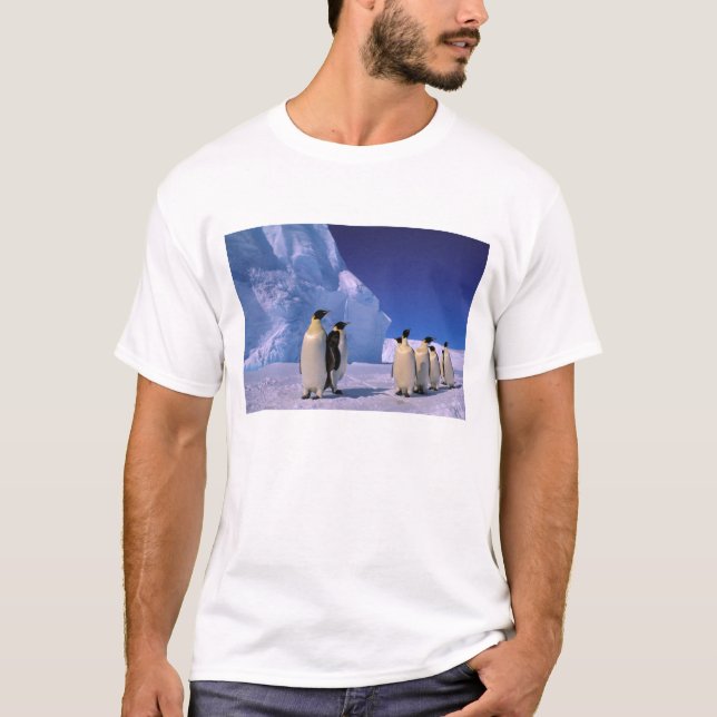 Antarctica, Australian Antarctic Territory, 7 T-Shirt (Front)