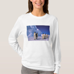 Antarctica, Australian Antarctic Territory, 7 T-Shirt