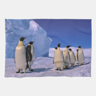 Antarctica, Australian Antarctic Territory, 7 Tea Towel