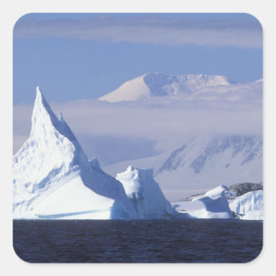Antarctica, Boothe Island, Afternoon sun Square Sticker