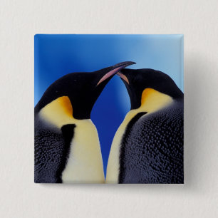 Antarctica, Emperor Penguins 15 Cm Square Badge
