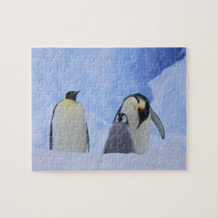 Antarctica. Emperor penguins and chick Jigsaw Puzzle