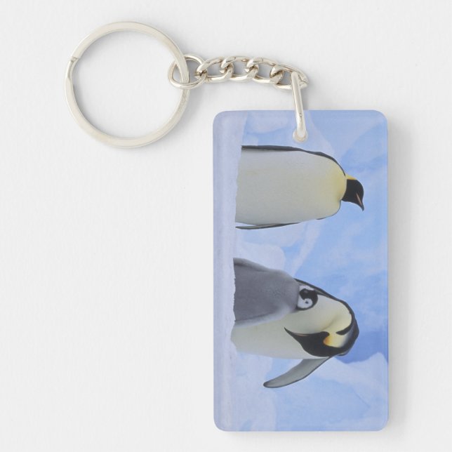 Antarctica. Emperor penguins and chick Key Ring (Front)