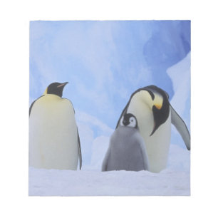 Antarctica. Emperor penguins and chick Notepad