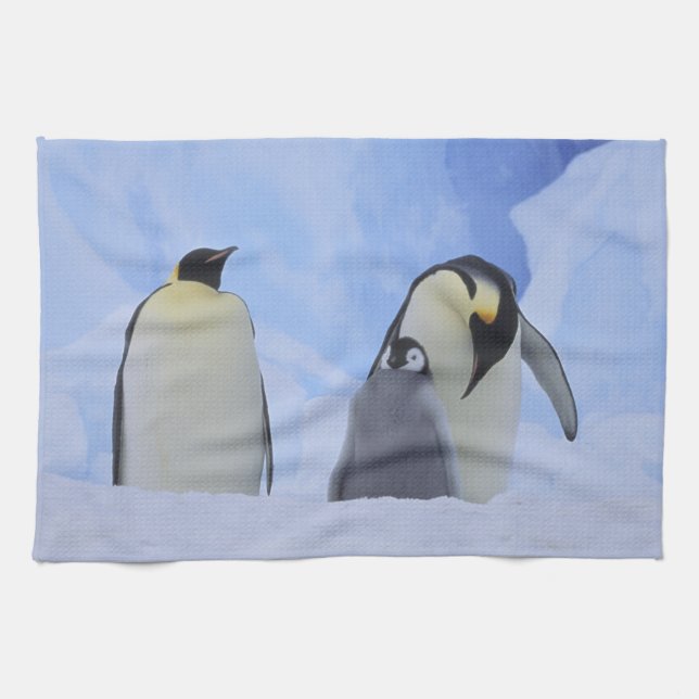 Antarctica. Emperor penguins and chick Tea Towel (Horizontal)