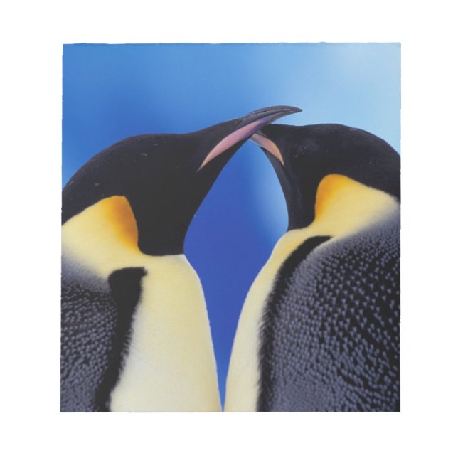 Antarctica, Emperor Penguins Notepad (Front)